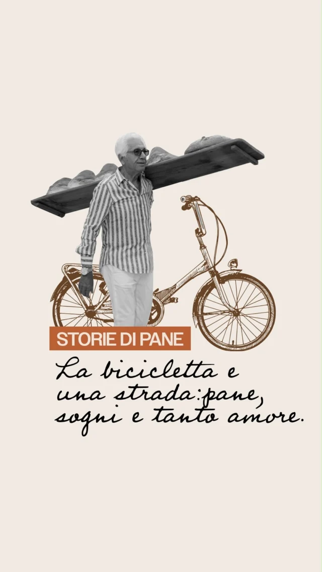 Era un giorno di sole, uno di quei giorni che sembrano fatti apposta per assaporare la vita. La luce filtrava attraverso le fronde degli alberi di carrube mentre pedalavo verso le case di Altamura, le pagnotte crude ben equilibrate sulla mia bicicletta. Ogni viaggio era una danza, una coreografia di equilibrio e movimento, mentre il profumo del pane che riempiva l’aria era la mia musica.

Quando finalmente terminavo il giro e la mia bicicletta era vuota, un senso di libertà mi avvolgeva. Mi piaceva rifugiarmi sotto il grande albero di carrube, nella campagna degli zii, il mio angolo di serenità.

Intorno a me, il paesaggio era un mosaico di ombre danzanti. Le spighe di grano ondeggiavano al vento, e le loro ombre, proiettate sull’erba, disegnavano figure fantastiche. Vedevo volti sorridenti e figure che sembravano danzare: una donna con un velo, un contadino con un cappello a larghe tese, e perfino creature di fantasia, come animali che si rincorrevano tra le spighe.

Stavo vivendo un sogno semplice ma perfetto. 

www.museodelpaneforte.it